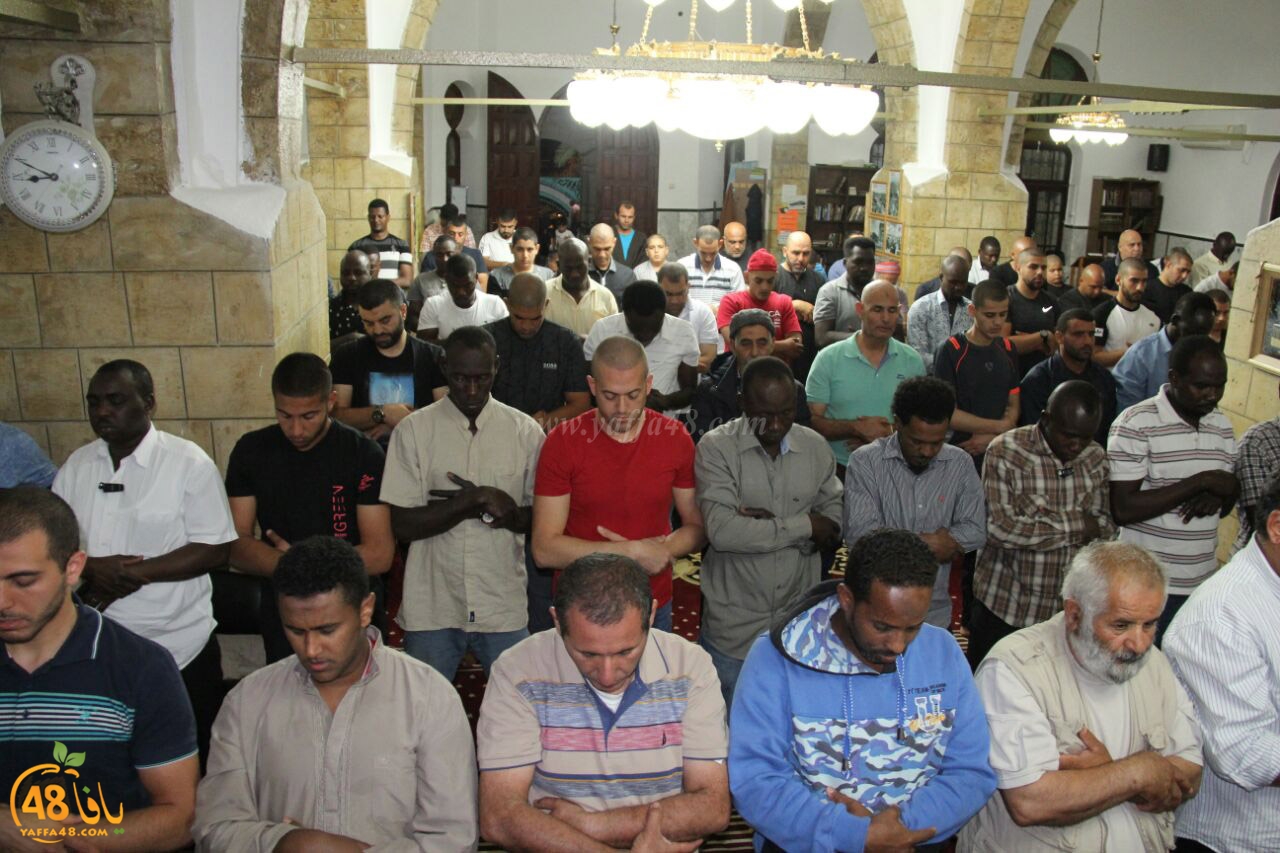 trawe7 salahsaj (15).jpg